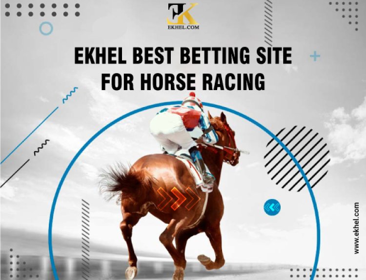 Top Online Betting Sites for Horse Racing