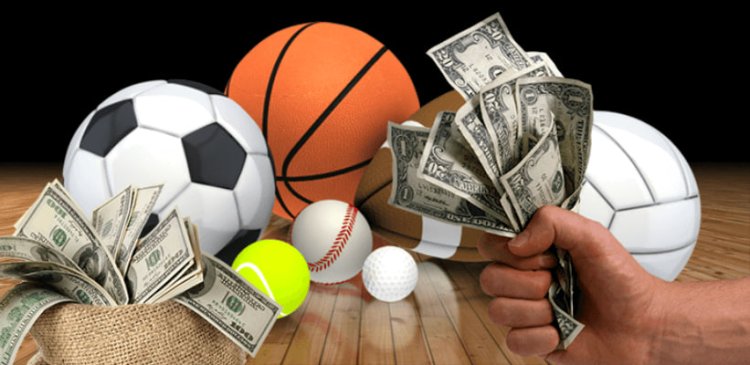 How to Bet on Niche Sports on Online Betting Sites