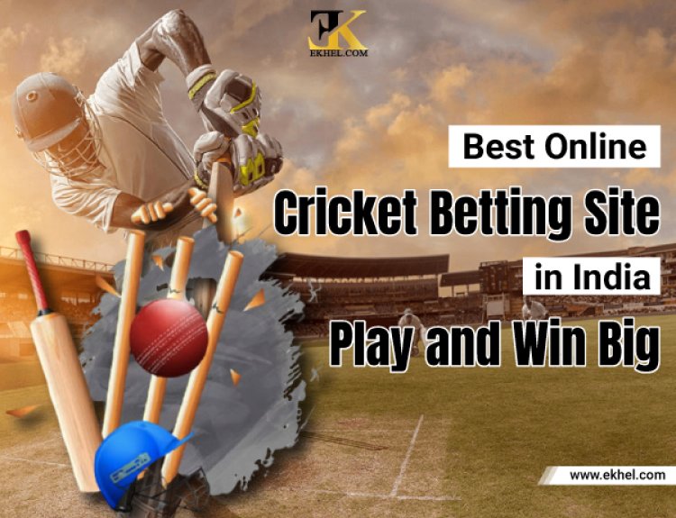 Best Online Cricket Betting Site in India: Play and Win Big