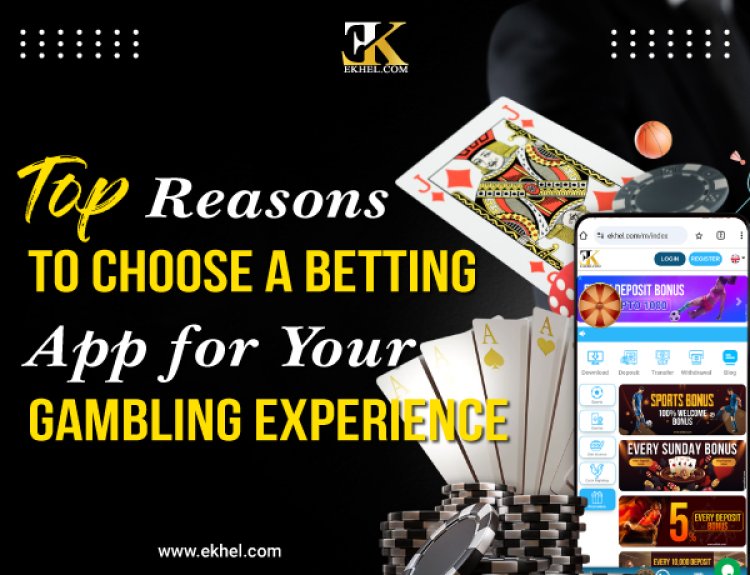 Top Reasons to Choose a Betting App for Your Gambling Experience