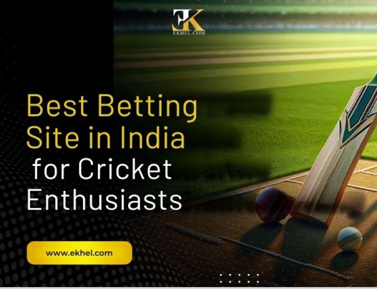 Best Betting Site in India for Cricket Enthusiasts